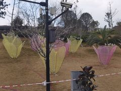 -枫香湖儿童公园