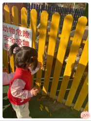 -萌宠亲子动物乐园(槐房万达店)