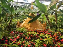 -南宫五洲植物乐园