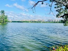 -洋湖国家湿地公园