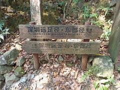 -梧桐山风景名胜区