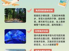 -日照灯塔风景区