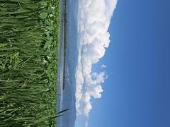 -西昌邛海湿地