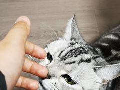 -长春观