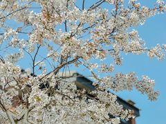 -颐和路民国时期公馆风貌区