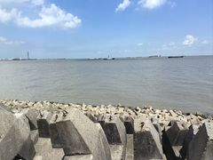 -上海滨江森林公园