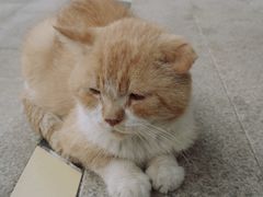 -星巴克(成都科学城店)