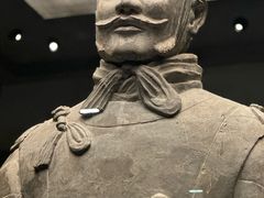 -秦始皇帝陵博物院(兵马俑)