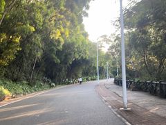 -梧桐山风景名胜区