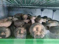 -山菌美食苑(振兴路店)