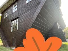 -金山农民画村-枫泾波兰倒置屋