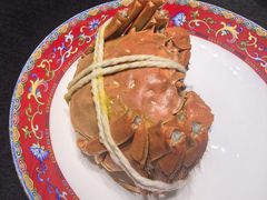 -新光酒家·河豚·海鲜·蟹料理(浦东店)