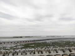 -南汇嘴观海公园