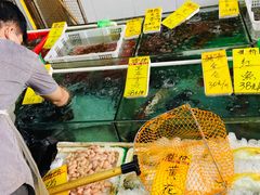 水产区-鸿达渔港