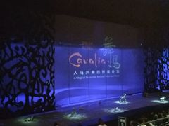-cavalia·舞马