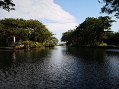 -瑰丽酒店·海吧·天际下午茶·现场DJ·天台酒吧