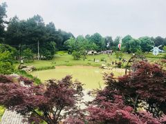 -铁山坪森林公园