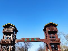 -绿堤公园