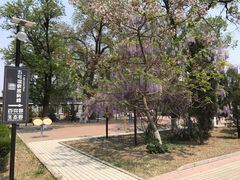 -兴城海滨风景区