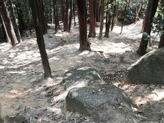 -火炉山森林公园