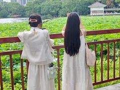 -荔湾湖公园