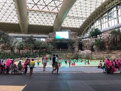 -杭州开元森泊度假乐园