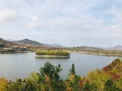 -樱花山风景区