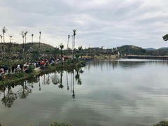 -枫香湖儿童公园