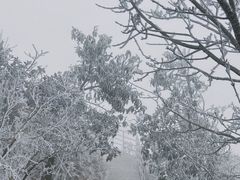 -金子山原生态旅游风景区