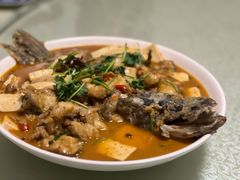 -煲来饱去冷水鱼