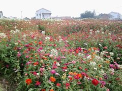 android_upload_pic-万利隆·活力烘焙(人民路店)