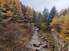 -芦芽山旅游度假区