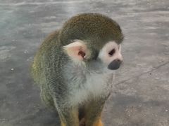 -西安秦岭野生动物园