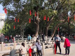 -绳金塔