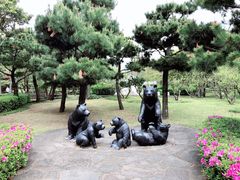 -济州岛泰迪熊博物馆