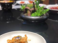 -宛平九号