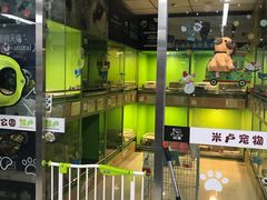 -米卢宠物公园(广华居店)