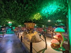 点击看大图 -酷嗒动物文化乐园(cutezoo西溪乐天城店)