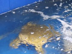 -三湘四水正宗湘菜(君峰路店)