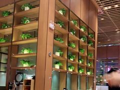 -西贝(华发商都店)