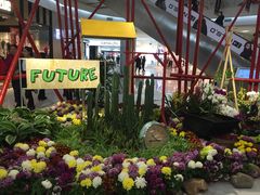 -凯德广场(学府店)