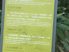 -云溪植物园