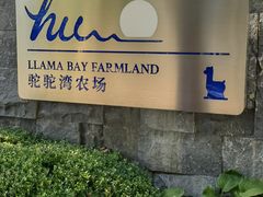 -静之湖度假区