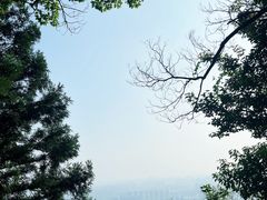 -惠山国家森林公园