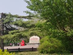 -莲花池公园