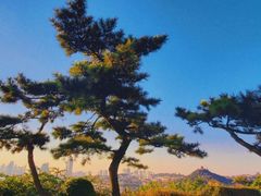 -青岛海滨风景区小鱼山