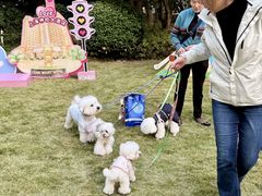 -上海神旺大酒店