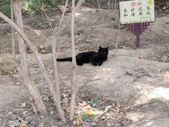 -佛慧山
