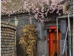 -三里河公园