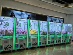 -813芭依珊 BAESAn(汇港购物中心店)
